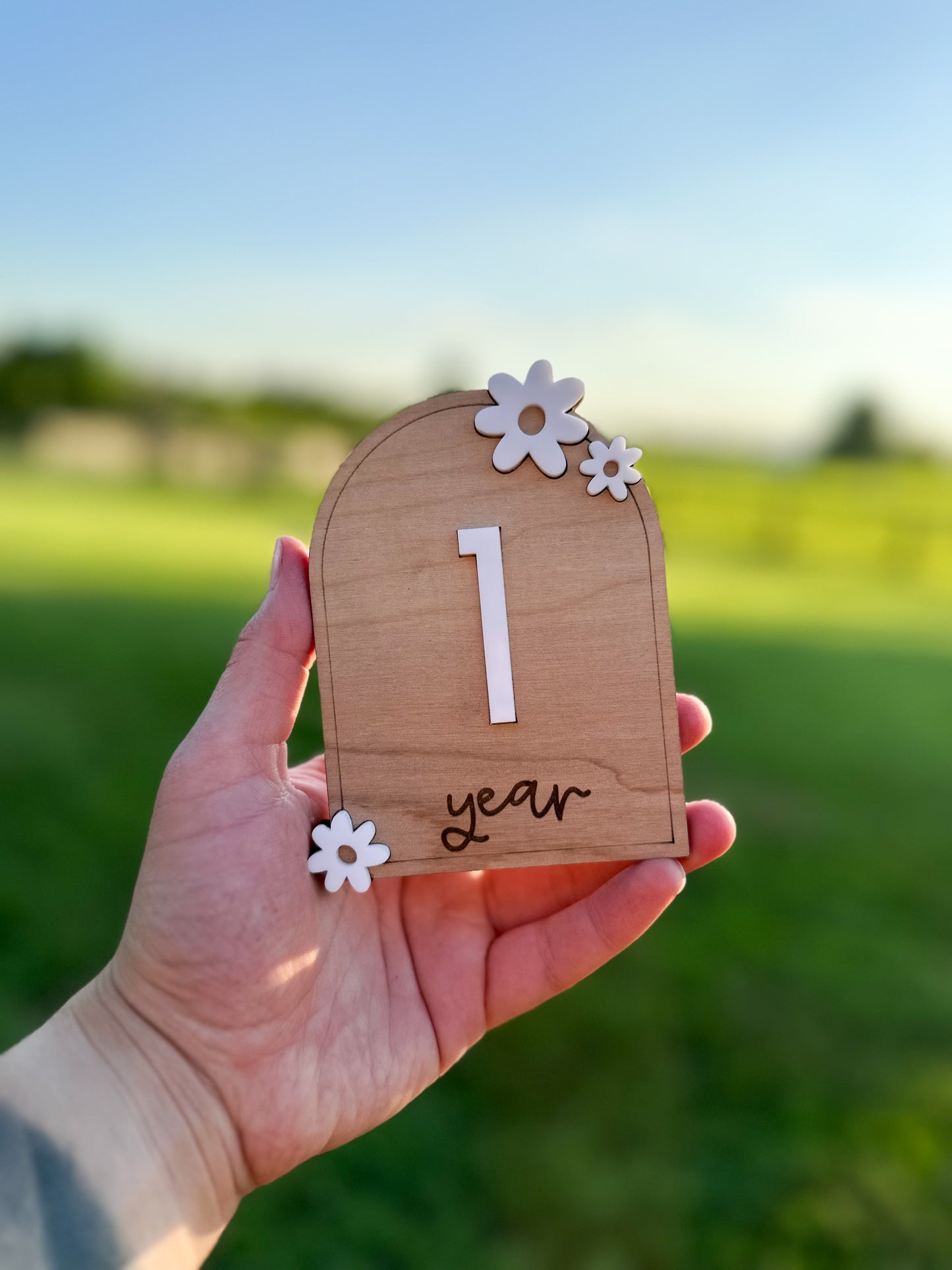 Floral Daisy Milestone Set