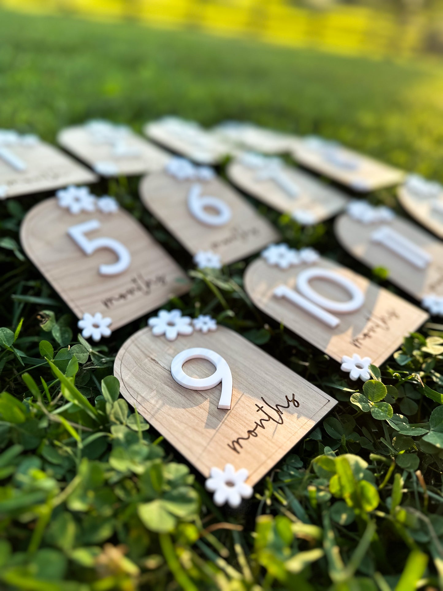 Floral Daisy Milestone Set