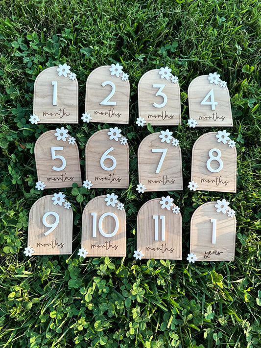 Floral Daisy Milestone Set