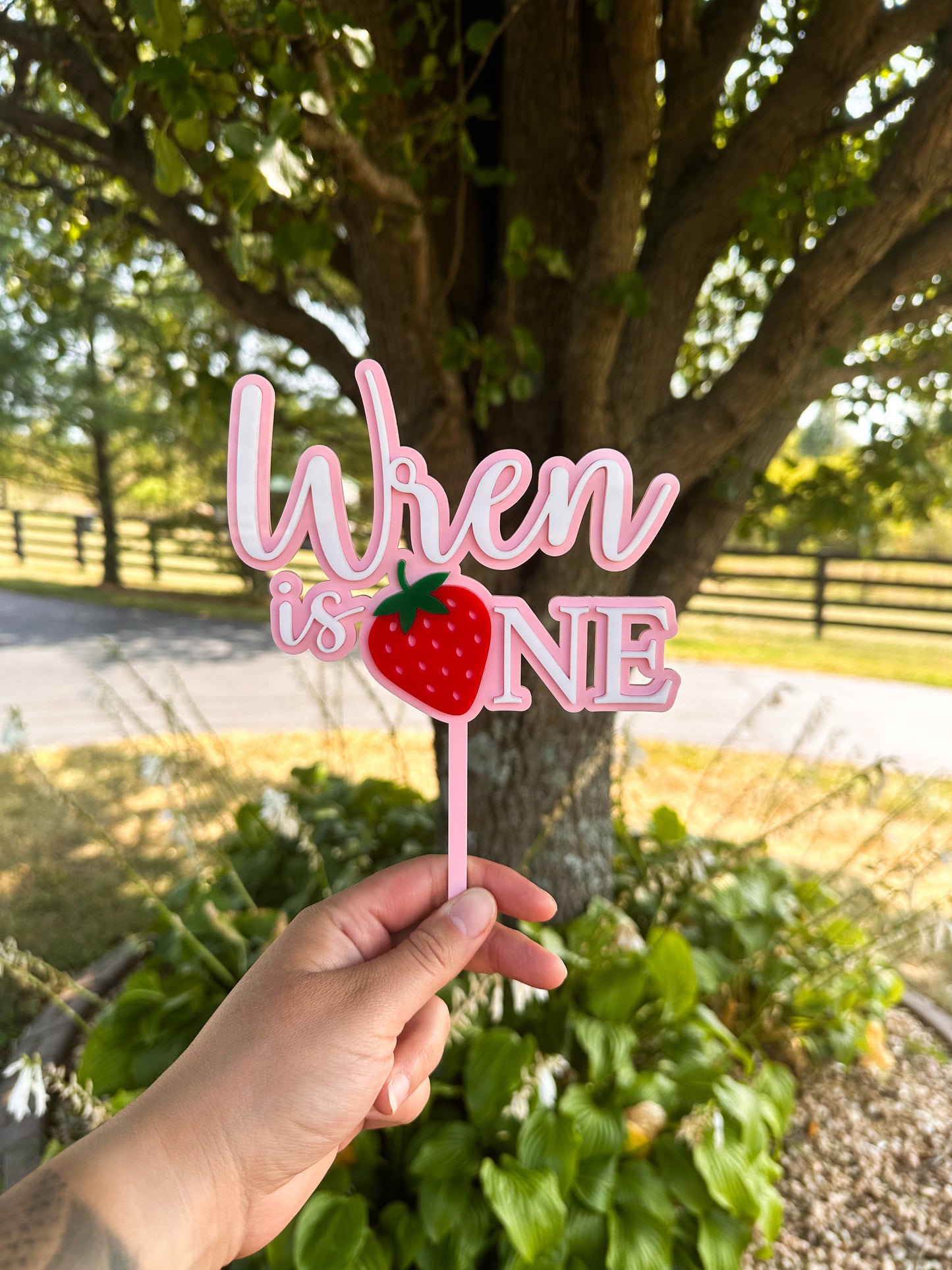 Strawberry Cake Topper